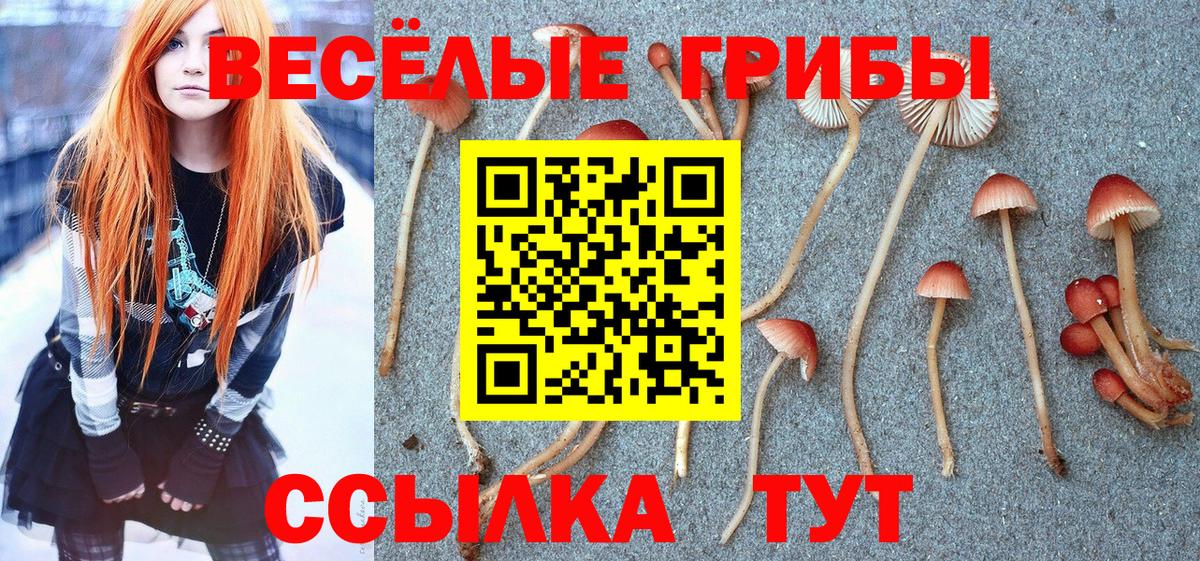 Галлюциногенные грибы GOLDEN TEACHER Бийск